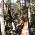 Ice on the Sheltowee Trace - 2